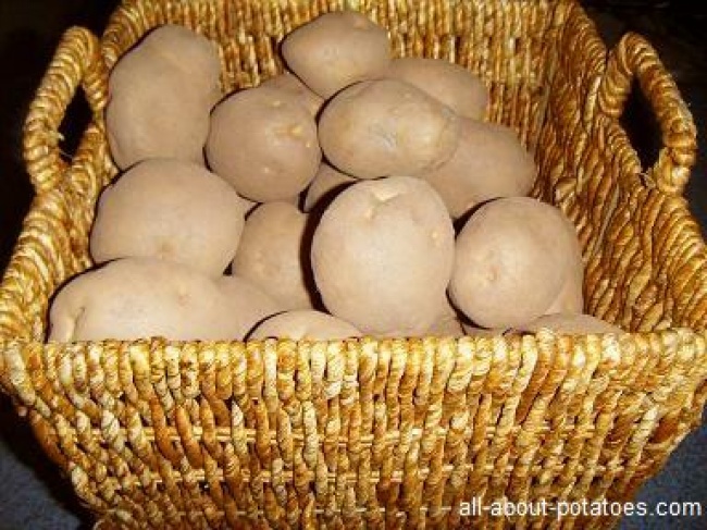 18 tips to help preserve vegetables for a long time Picture 11