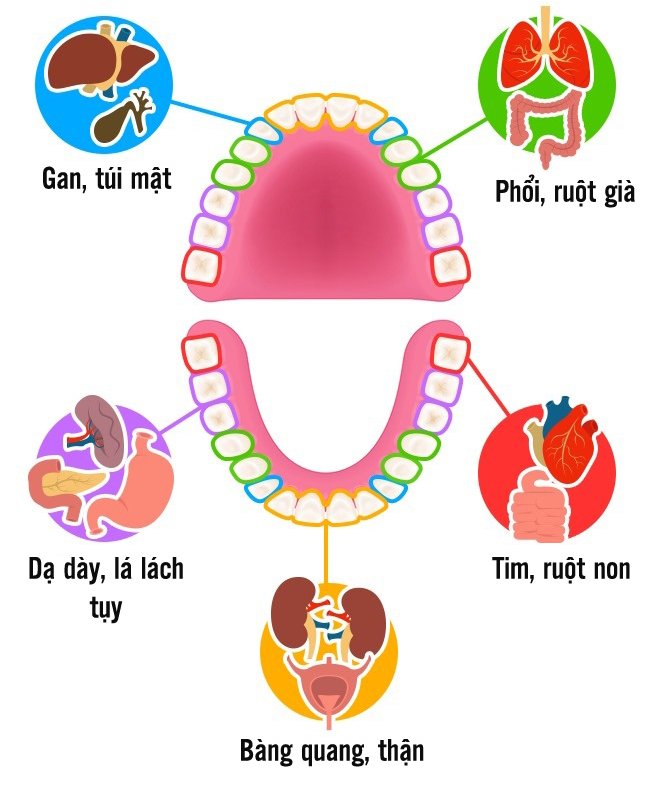 Check out 10 types of special foods that are harmful to teeth Picture 13