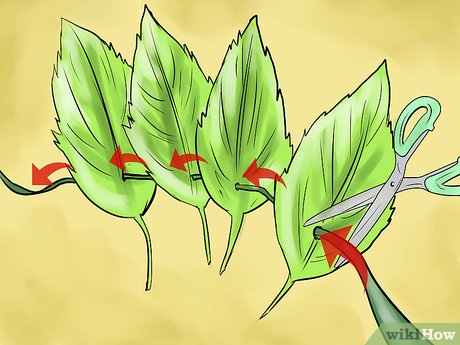 How to Make a Quick Greek Goddess Costume Picture 7