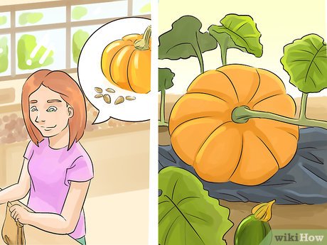 How to Spend Your Free Time (Girls) Picture 25