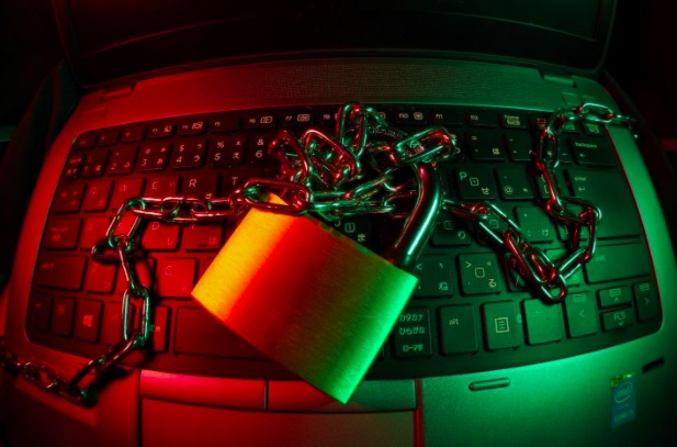 Picture 1 of How to Protect Yourself from Identity Fraud and Cyber Theft