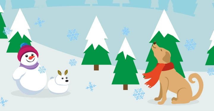 Picture 1 of How to keep your pet healthy and happy during winter