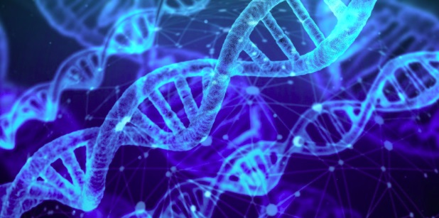Picture 1 of The 4 Basic Steps Of Protein Expression And Purification Explained