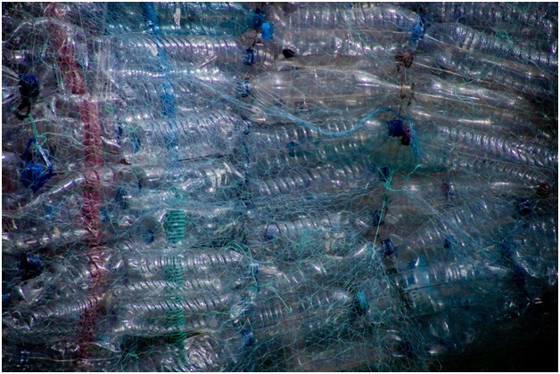 Picture 3 of The Benefits of Liverpool Rubbish Collection