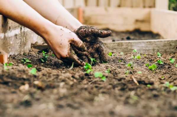 Picture 2 of Tips On How You Can Encourage Your Family To Live More Sustainably