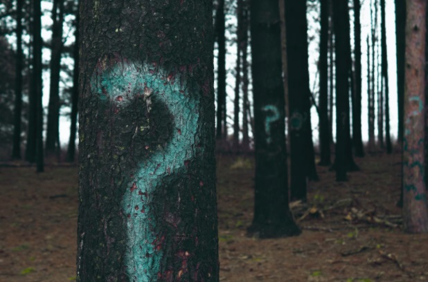 Picture 2 of Here's how you can empower your email marketing with personalization