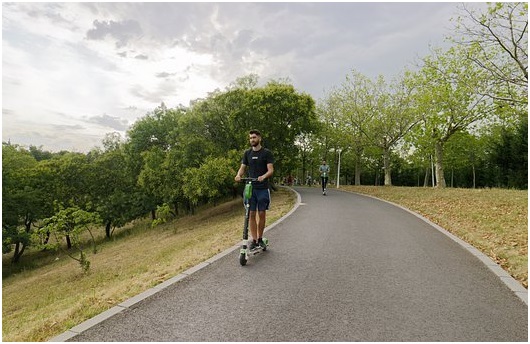 Buying an Electric Scooter? Here's What to Look For Picture 2