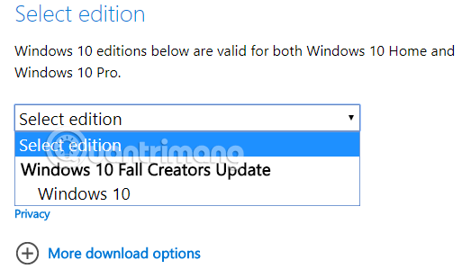 How to download Windows 10, download Windows 10 ISO file from Microsoft Picture 13