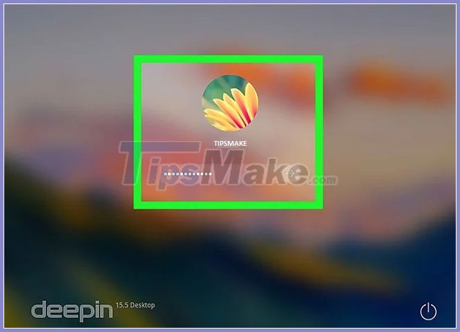 How to install Deepin Linux Picture 5