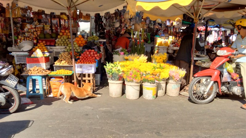 Realme C17 detailed review: 90Hz screen, 5,000 battery, Snapdragon 460 Picture 13