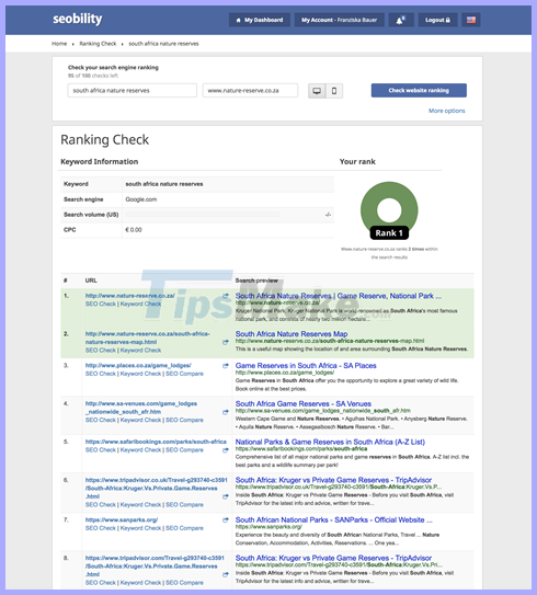 Seobility, reviews Seobility - an emerging SEO tool Picture 4