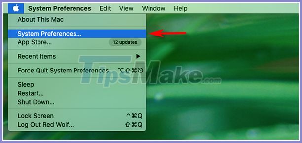 Where is the Control Panel on the Mac? Picture 2