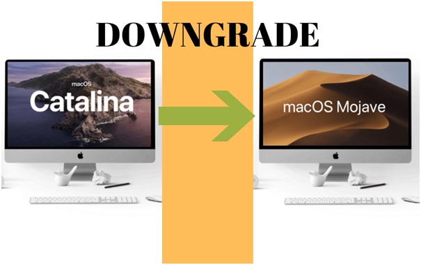 Picture 1 of How to downgrade macOS Catalina to Mojave?