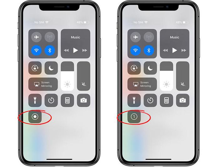How to record iPhone screen video, How to record iPhone screen with sound Picture 2