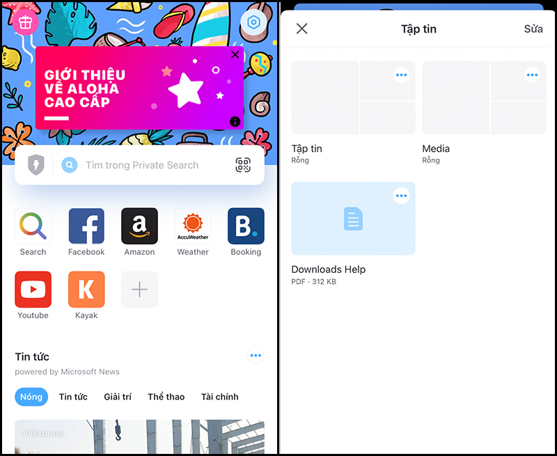 Top 10 best alternative web browsers for Safari on iPhone Picture 9