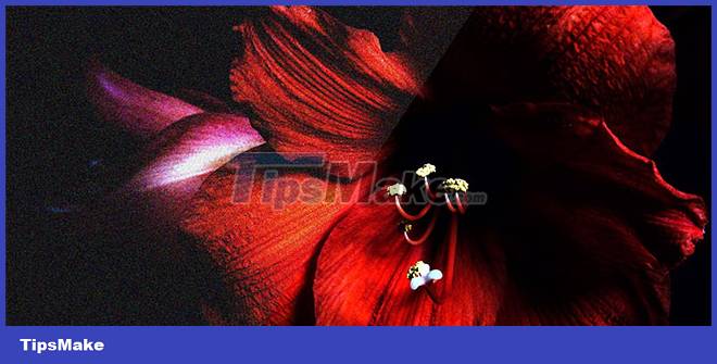 Megapixel or sensor size is more important for smartphone cameras? Picture 3