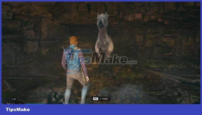 How to Get a Star Wars Jedi: Survivor . mount Picture 2