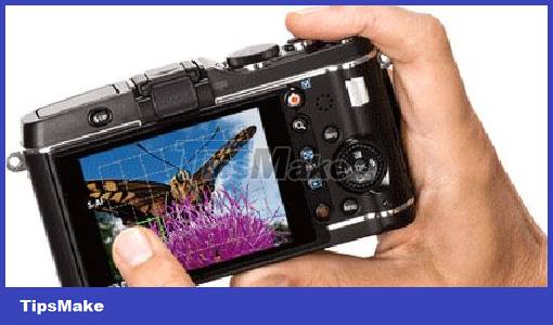 Should you choose a digital camera? Picture 5