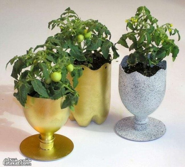 10 creative ideas to make flower pots from old plastic bottles Picture 5