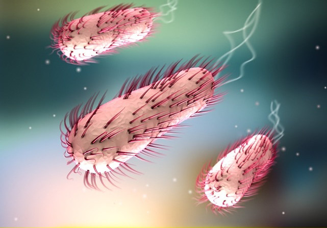 10 facts that amaze you about your human body Picture 8