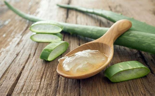 10 great benefits of aloe vera you may not know yet Picture 4