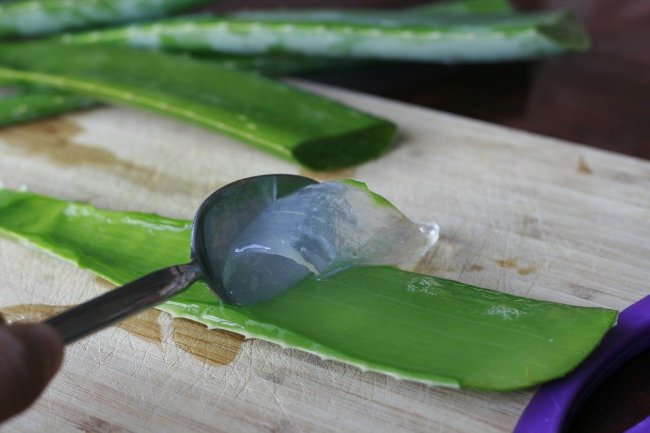 10 great benefits of aloe vera you may not know yet Picture 8