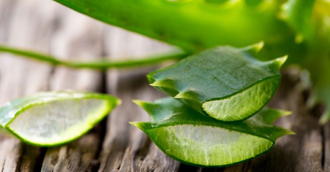 10 great benefits of aloe vera you may not know yet Picture 9