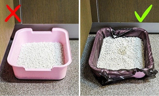 10 great tips that were little known before Picture 1
