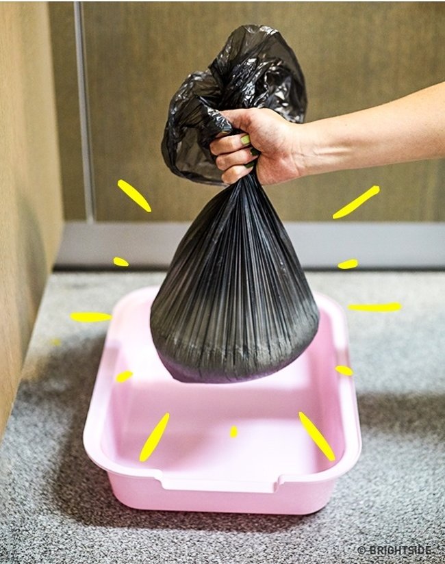 10 great tips that were little known before Picture 2