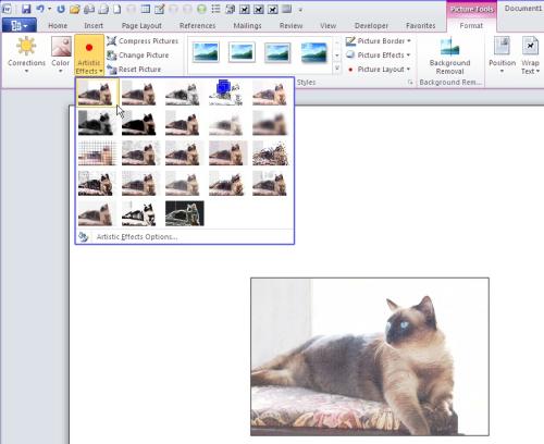 10 highlights of Office 2010 Picture 9