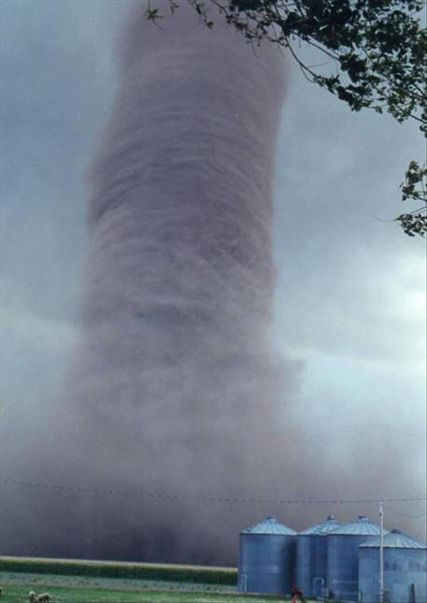 10 horror photos that only look can make you panic Picture 3