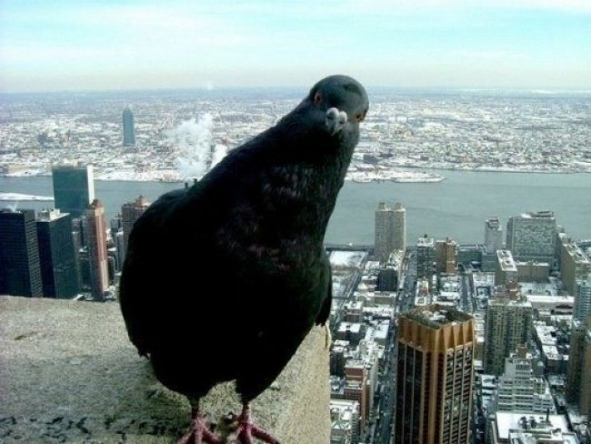 10 incredible facts about food will impress you Picture 4