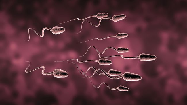 10 interesting facts about sperm to men do not know Picture 10