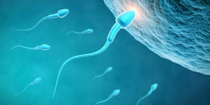 10 interesting facts about sperm to men do not know Picture 6