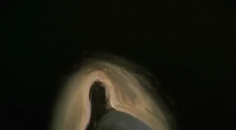 10 interesting secrets behind the logos of famous Hollywood studios Picture 17