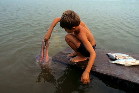 10 legendary creatures can be real Picture 1