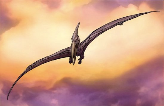 10 legendary creatures can be real Picture 5