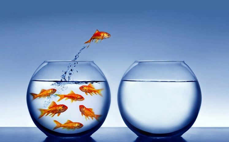 10 life lessons you are not taught at school Picture 10