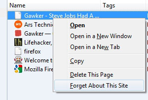 10 most valuable features in Firefox 3.5 Picture 2