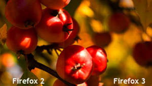 10 most valuable features in Firefox 3.5 Picture 7