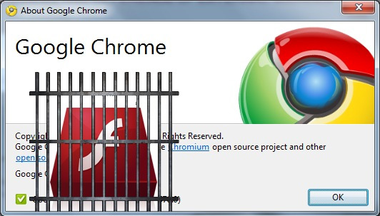 10 new points of Chrome 10 Picture 3
