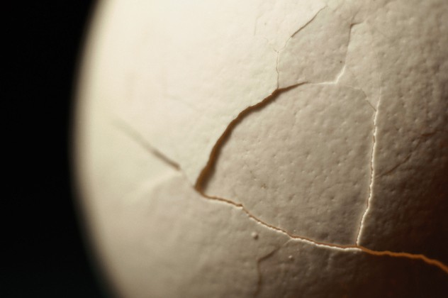 10 objects that do not separate themselves from Japanese ninja Picture 9