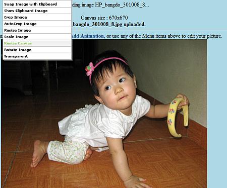 10 online photo editing tools without Photoshop Picture 7