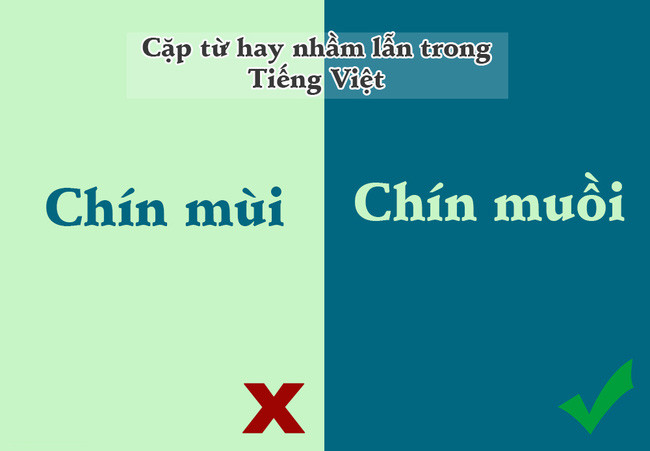 10 pairs of words in Vietnamese make us the most confused Picture 4