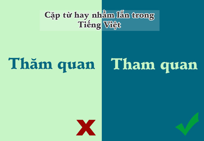 10 pairs of words in Vietnamese make us the most confused Picture 9