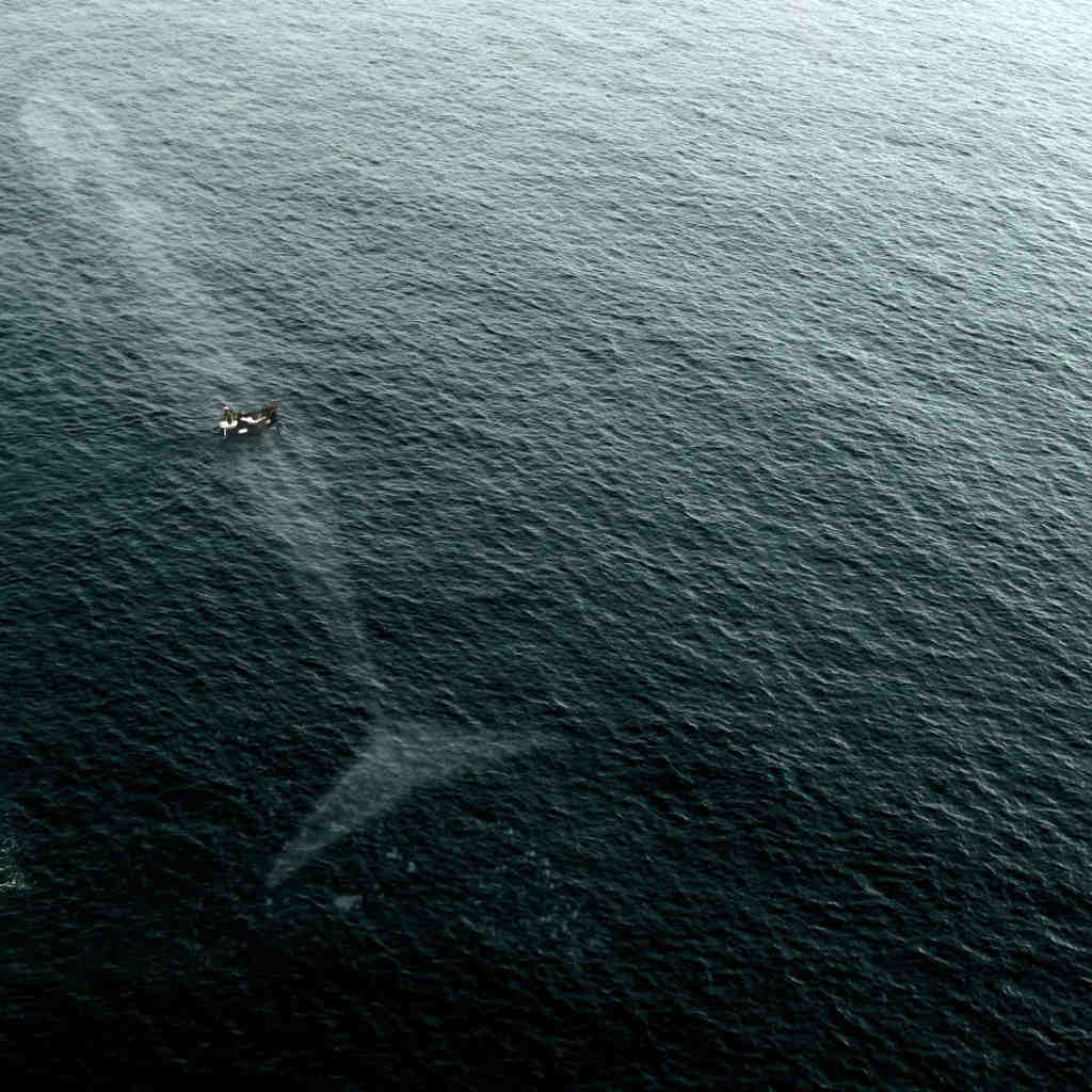 10 photos showing how small people are in the ocean Picture 10
