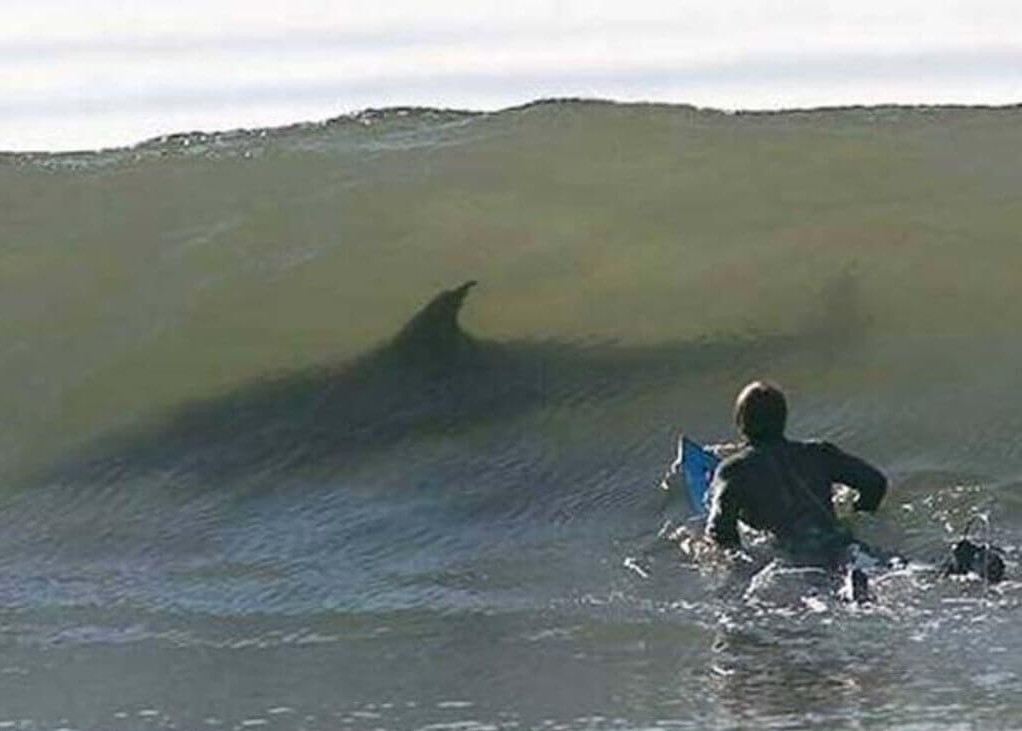 10 photos showing how small people are in the ocean Picture 8