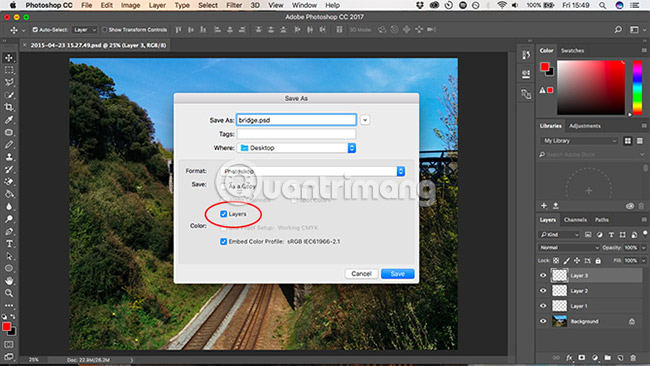 10 Photoshop beginner skills need to know Picture 18