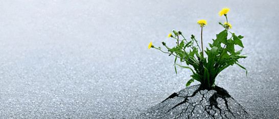 10 sayings make every day your meaning Picture 6