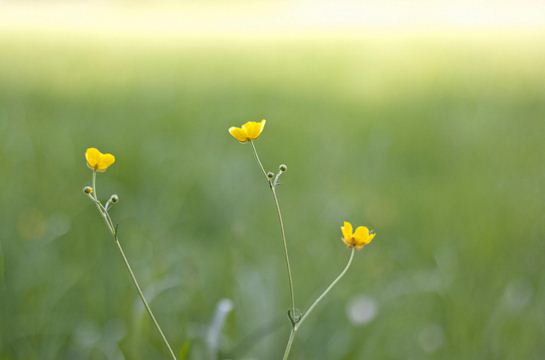 10 sayings make every day your meaning Picture 7